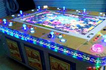 经营捕鱼游戏机，被控开设赌场罪